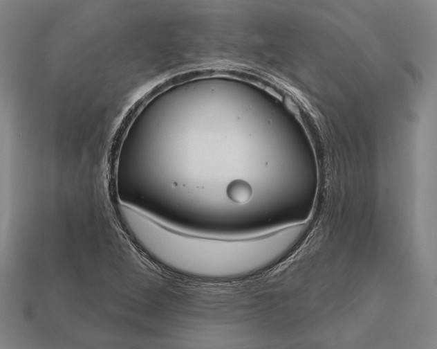 X0000113131264200909181702