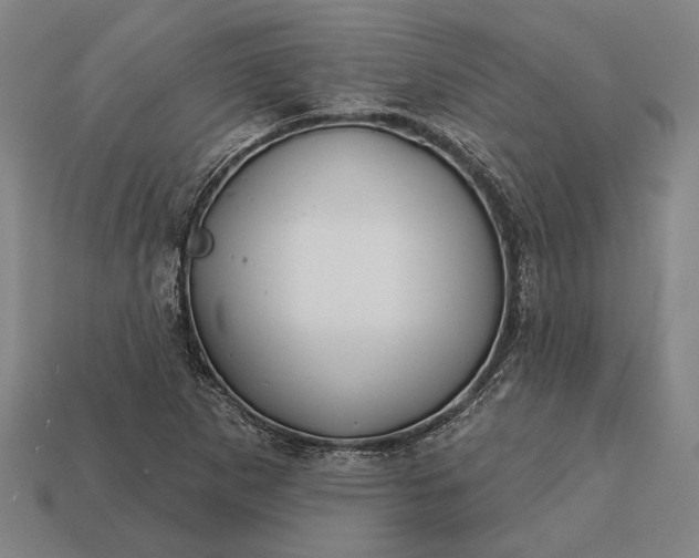 X0000113131265200909181702