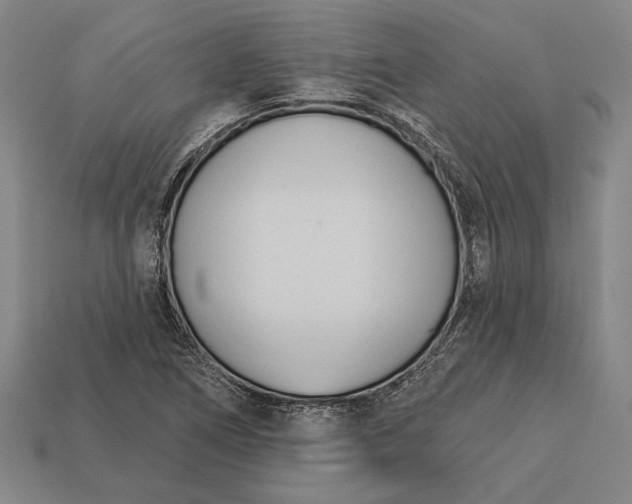 X0000113131266200909181702