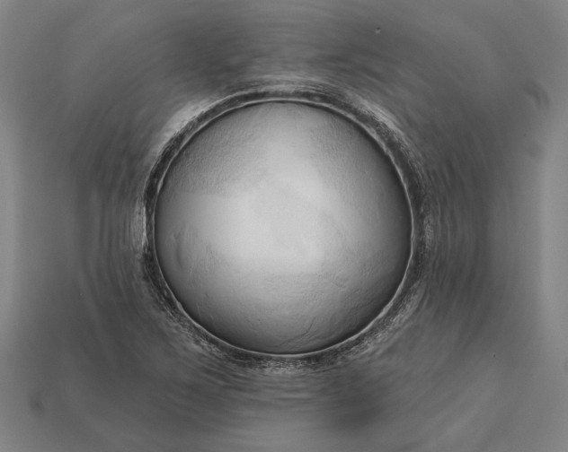 X0000113131267200909181702