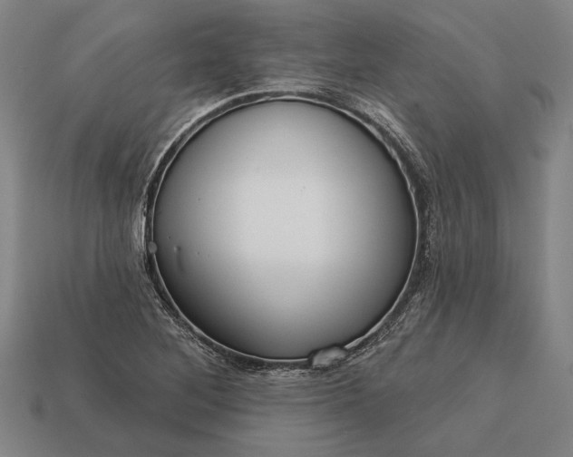 X0000113131268200909181702