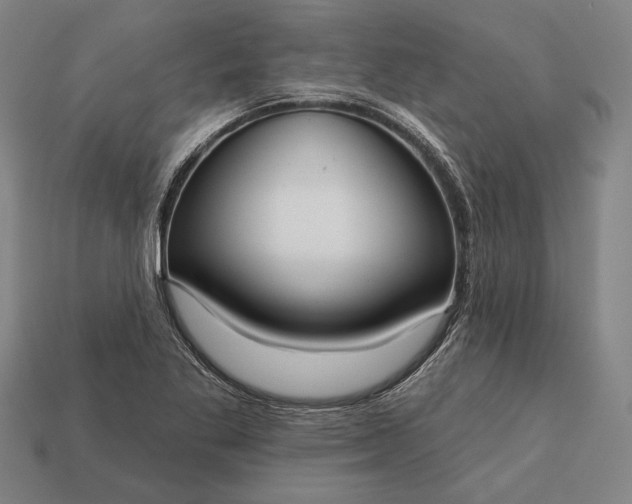 X0000113131269200909181702