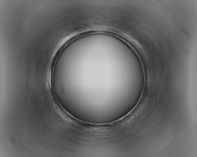 X0000113131272200909181702