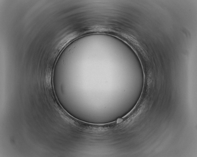 X0000113131273200909181702