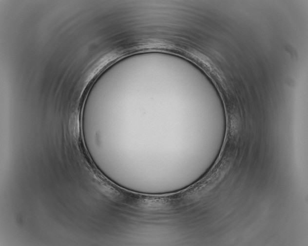 X0000113131274200909181702