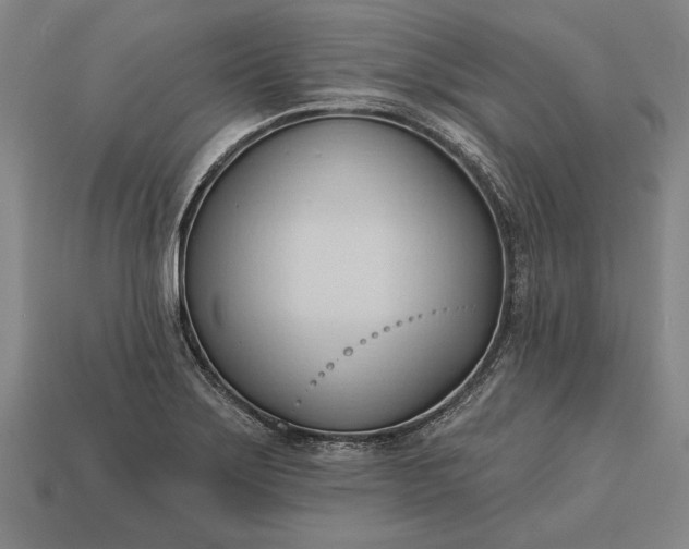 X0000113131275200909181702