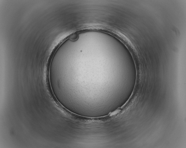 X0000113131277200909181702