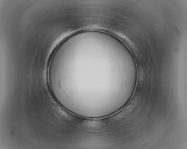 X0000113131278200909181702