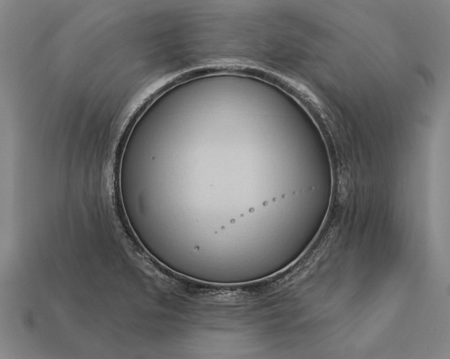 X0000113131279200909181702