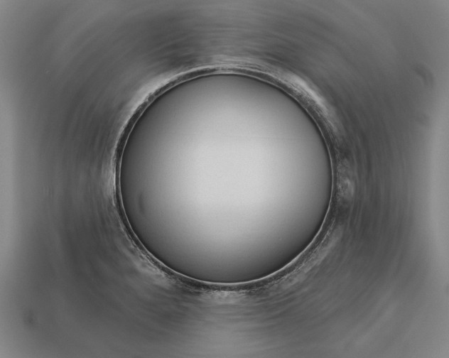 X0000113131280200909181702