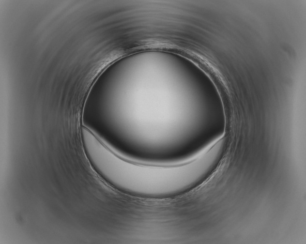 X0000113131281200909181702