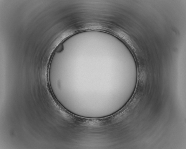 X0000113131282200909181702