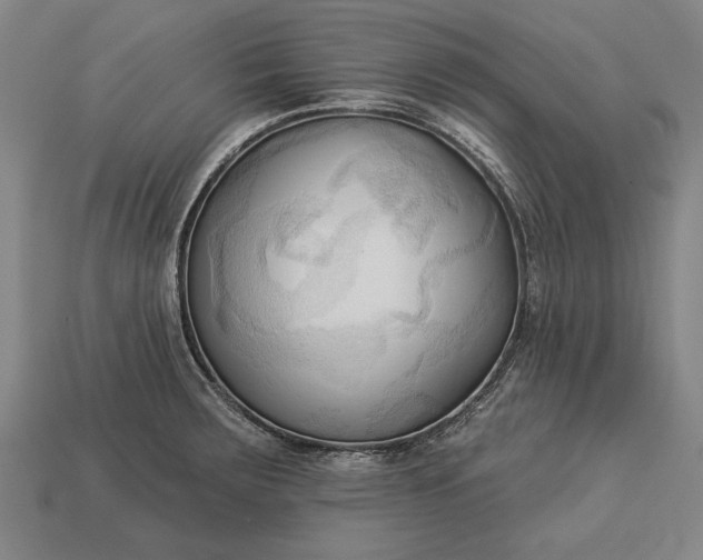 X0000113131283200909181702