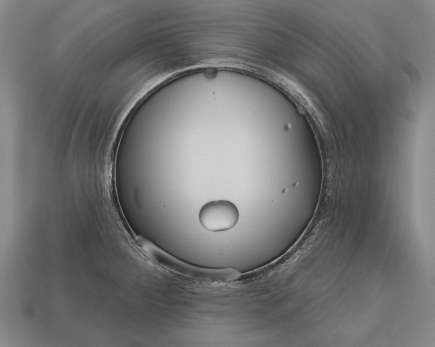 X0000113131284200909181702