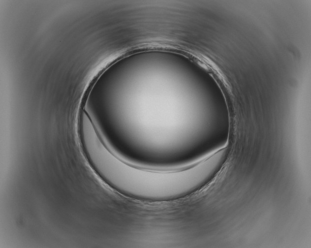 X0000113131285200909181702