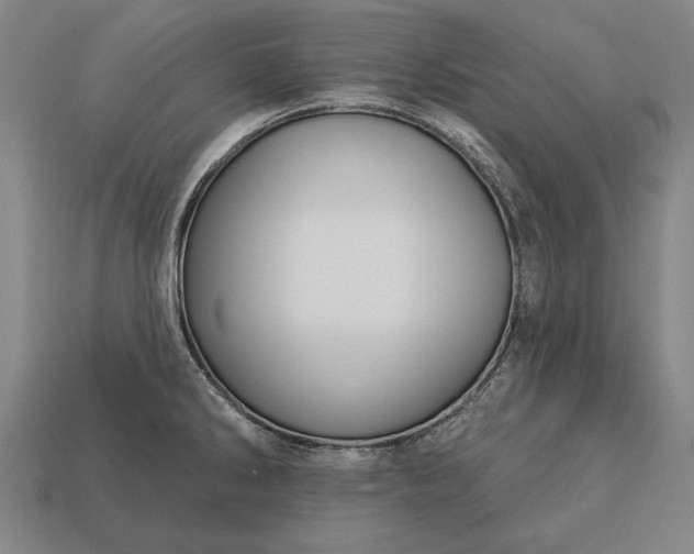 X0000113131286200909181702