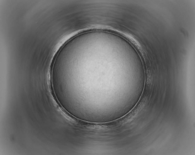 X0000113131287200909181702