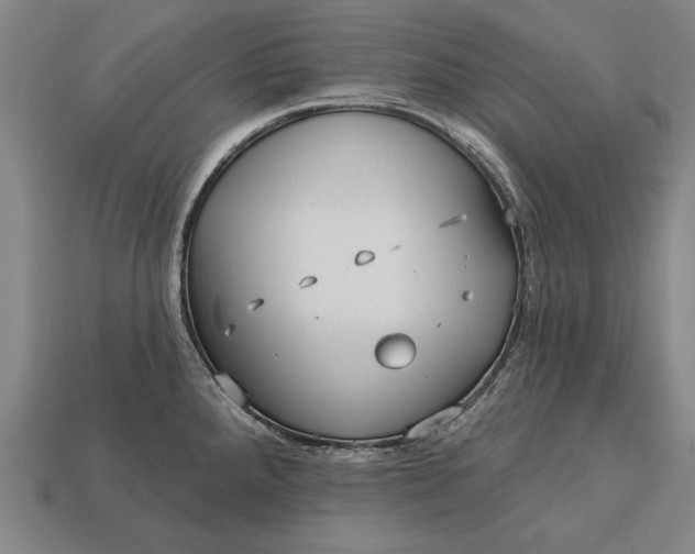 X0000113131288200909181702