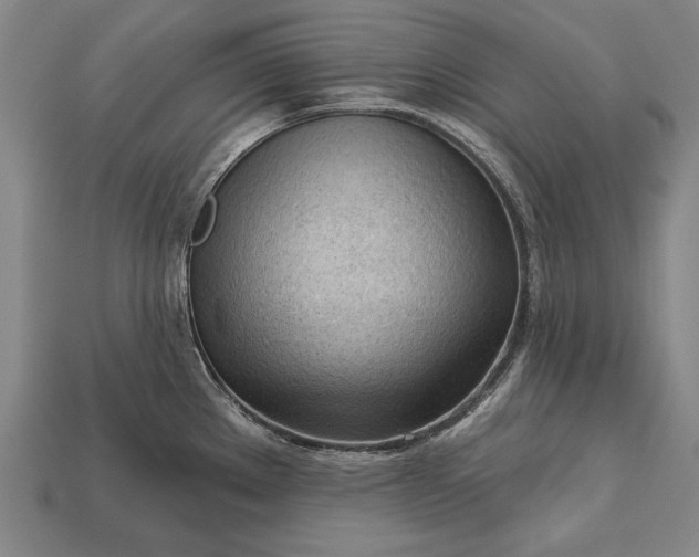 X0000113131289200909181702