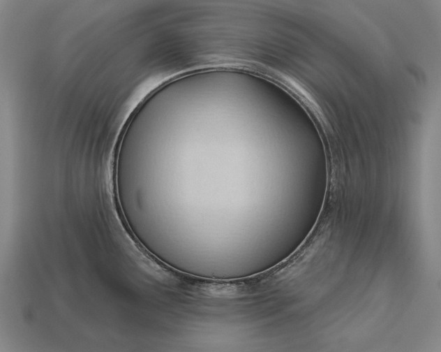 X0000113131291200909181702