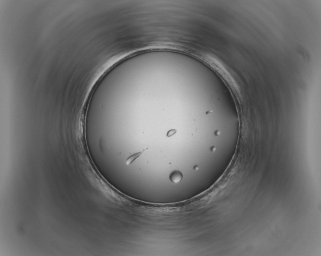 X0000113131292200909181702