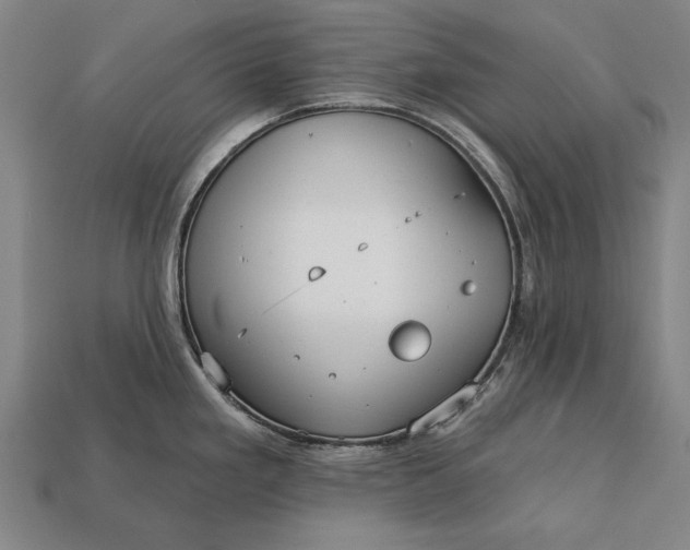 X0000113131293200909181702