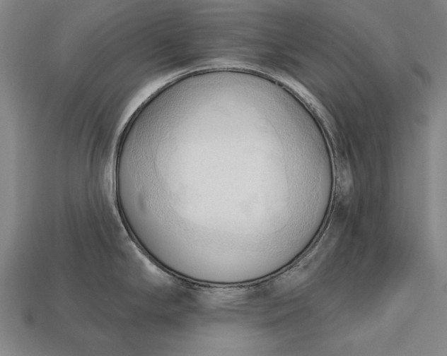 X0000113131294200909181702