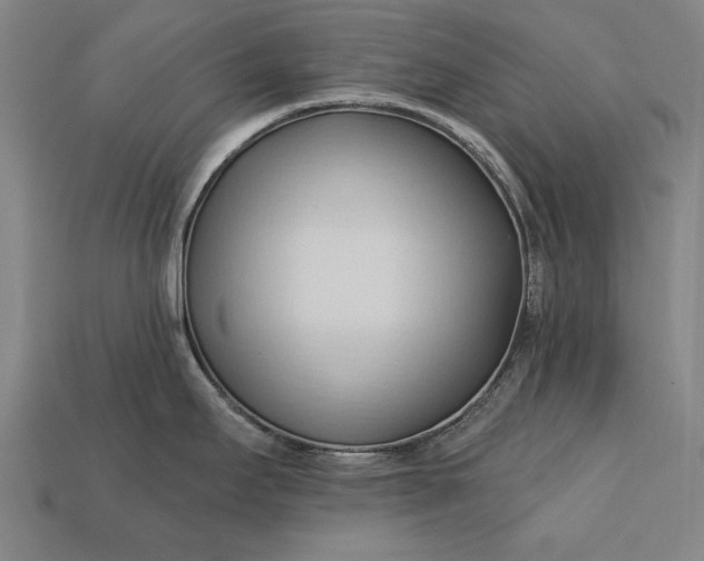 X0000113131295200909181702