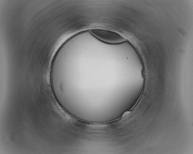 X0000113131296200909181702