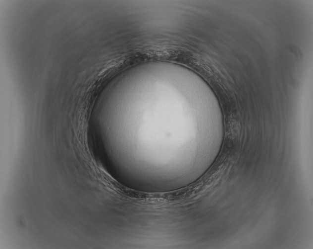 X0000113131297200909181701