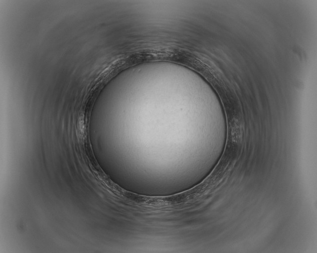 X0000113131298200909181701