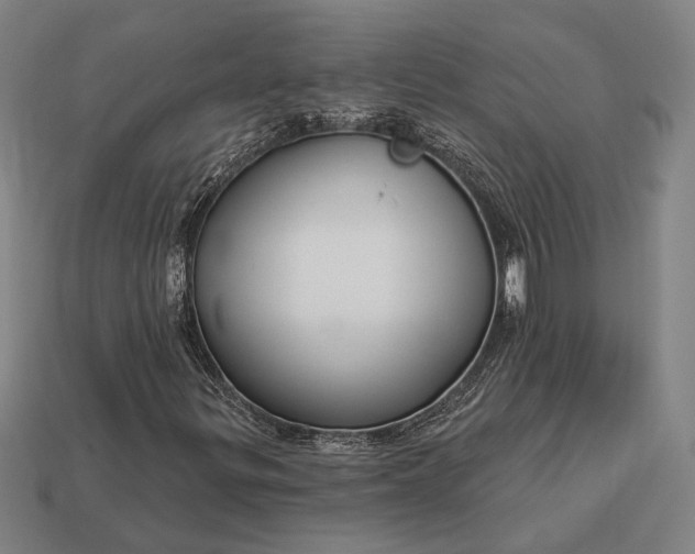 X0000113131299200909181701