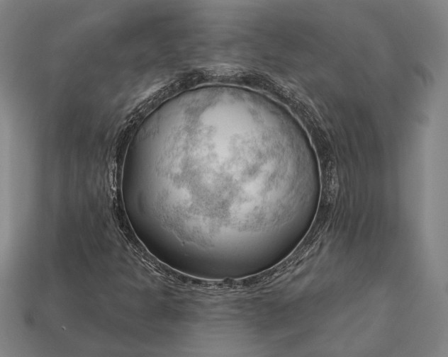 X0000113131301200909181701