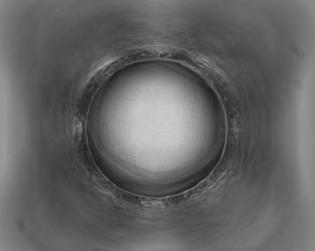 X0000113131302200909181701