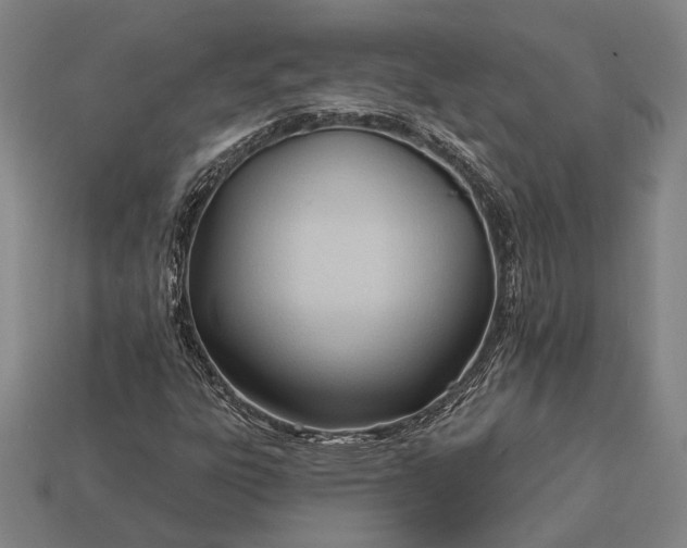 X0000113131303200909181701