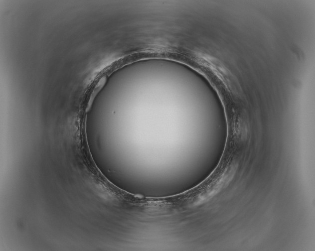 X0000113131304200909181701