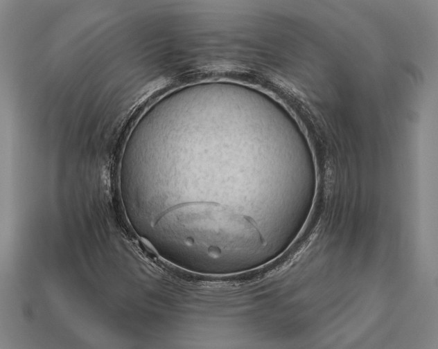 X0000113131305200909181701