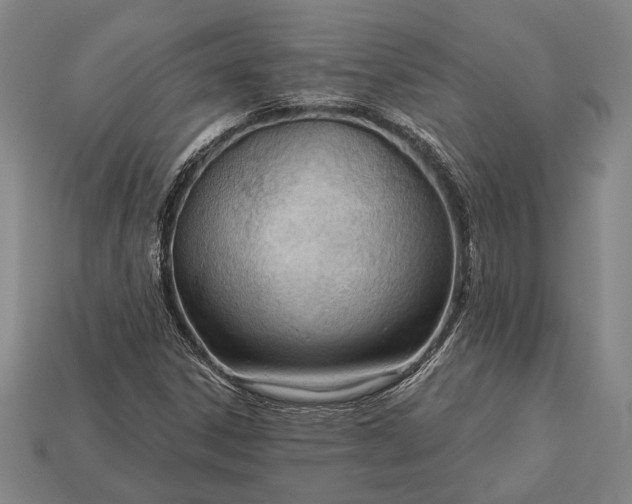 X0000113131306200909181701