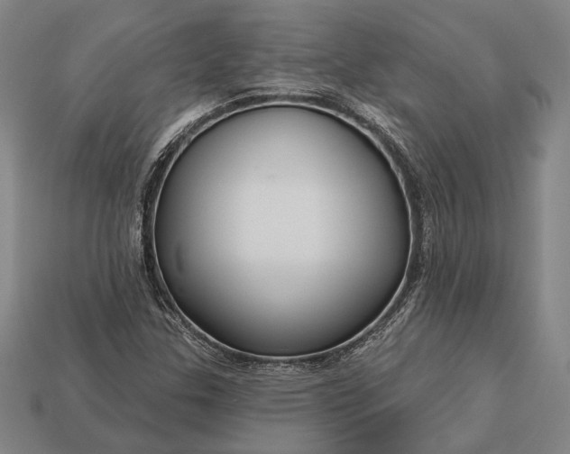 X0000113131307200909181701