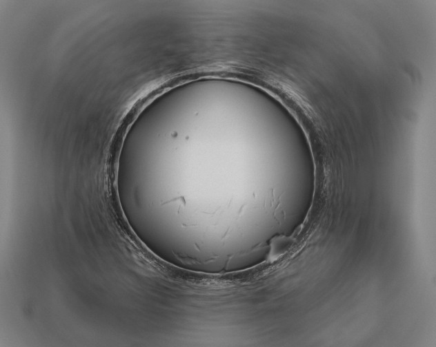 X0000113131308200909181701