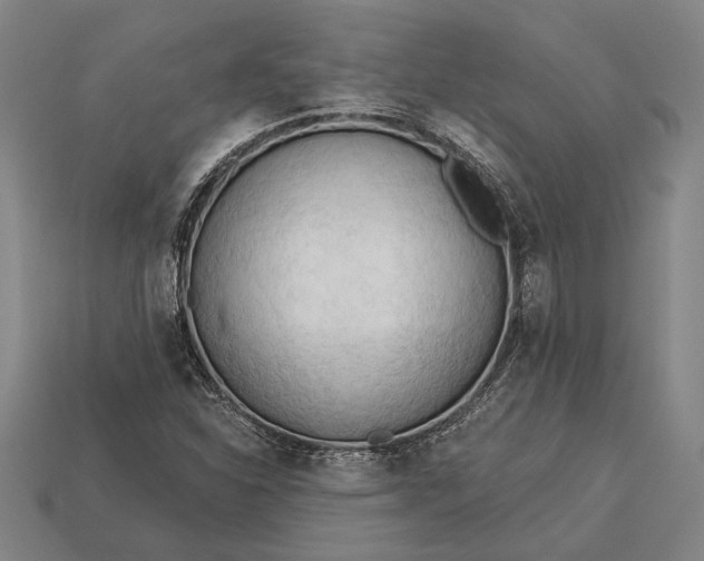 X0000113131310200909181701