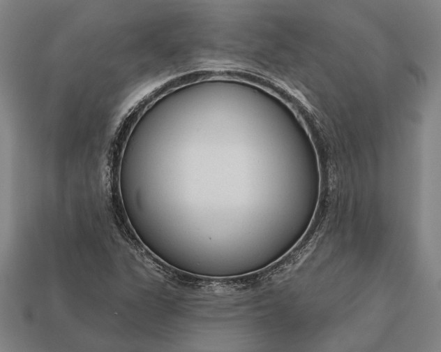 X0000113131311200909181701