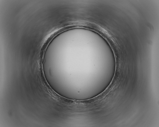 X0000113131312200909181701