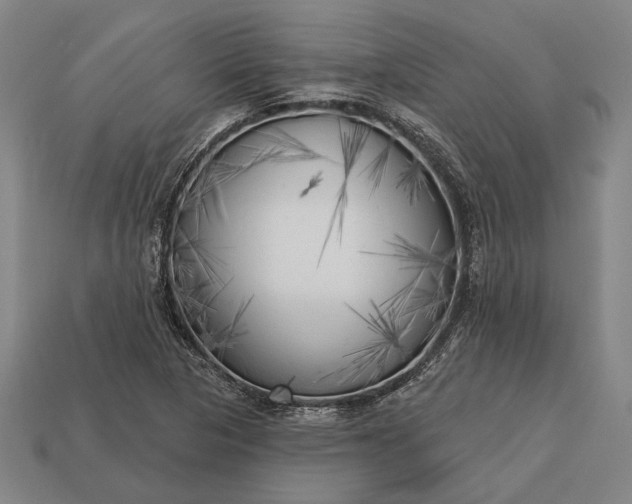 X0000113131313200909181701