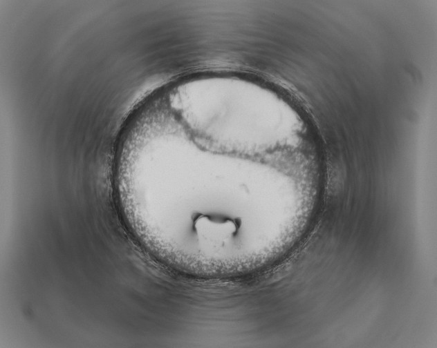 X0000113131314200909181701