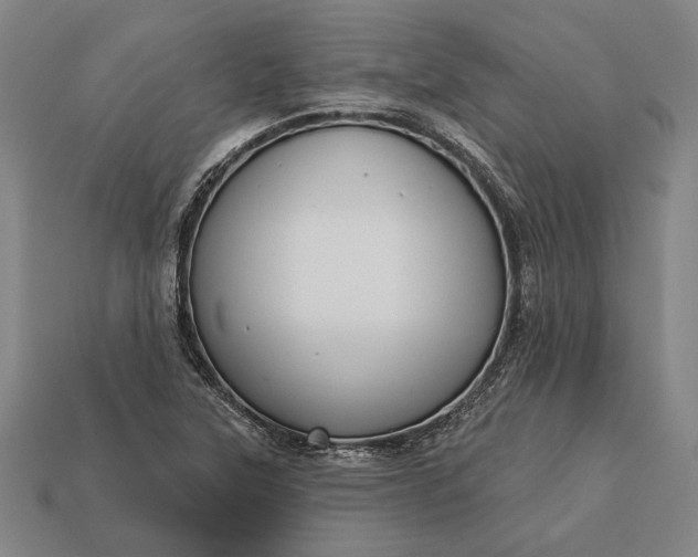 X0000113131315200909181701