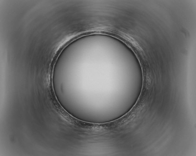 X0000113131316200909181701