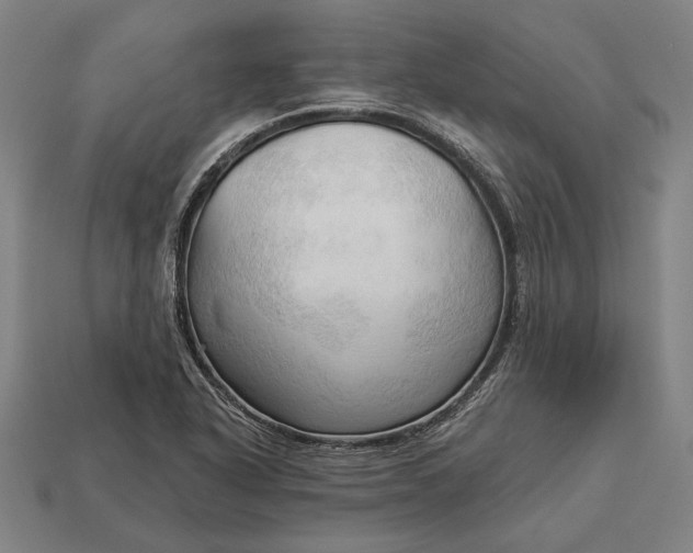 X0000113131318200909181701