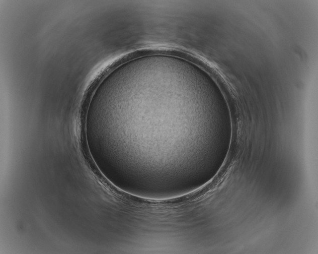 X0000113131319200909181701