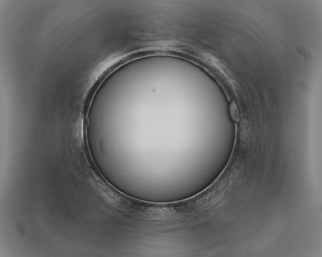 X0000113131320200909181701